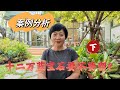 【宝石女矿主】案例分析～十二万蓝宝石要不要留？（下）