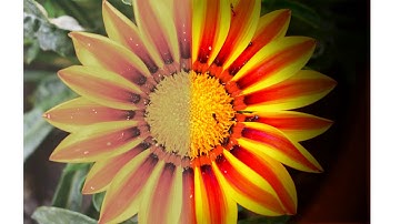 3 ways to create lomo effect in photoshop