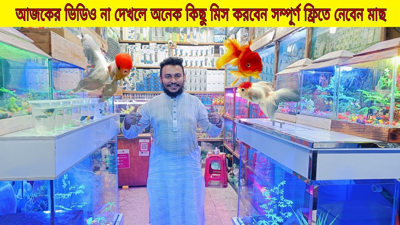 Aquarium Fish Price In katabon 2025|🐠🐠 Aquarium Fish Price | Aquarium | AR Rahman aquarium🐠🐠
