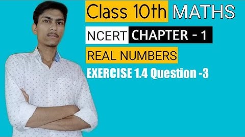 Ex 1.4 Q-3 | Class 10 maths chapter 1| Real Numbers