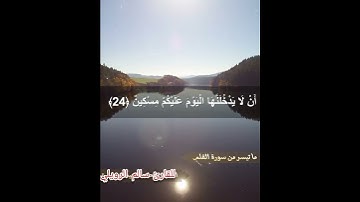 ما تيسر من سورة القلم القارئ سالم الرويلي