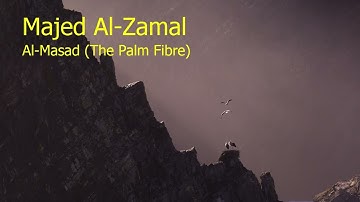 Majed Al Zamal  Surah Al Masad The Palm Fibreماجد الزمل  سورة  المسد