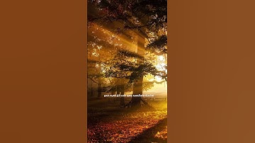 أذكار الصباح 🌅 رددها كل يوم لتبدأ يومك بالسكينة والبركة والطمأنينة 💖