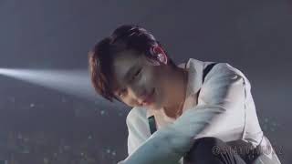 Stays Will Stay For Stray Kids Forever