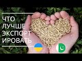 Что лучше экспортировать из Украины? На чем можно реально заработать? Вы сможете это продать