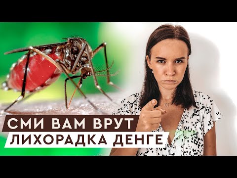 БУДЬТЕ ОСТОРОЖНЫ! СМИ НАМ ВРУТ. ЧЕМ ОПАСНА ЛИХОРАДКА ДЕНГЕ?