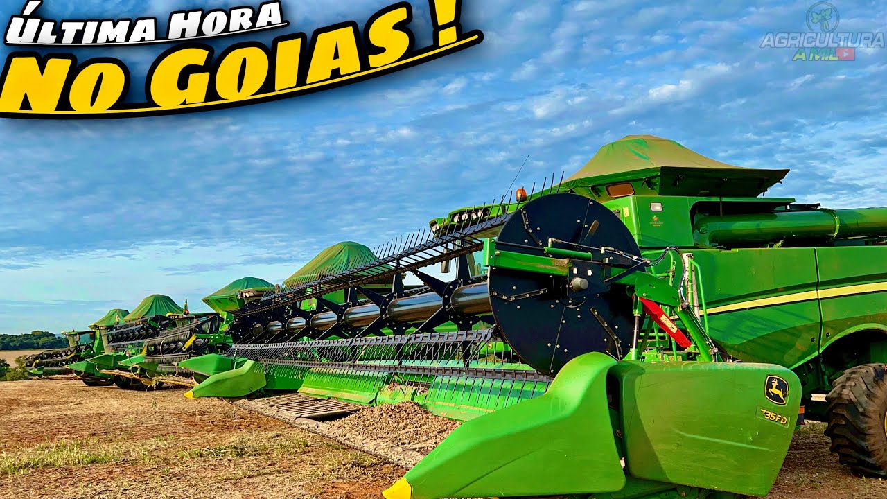 1 HORA COLHENDO SOJA NO GOIÁS 🙏🏼💥💪🏼!!! EP 280