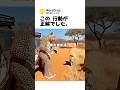 本能で選んだ行動。