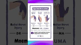 Hand Nerve lesions