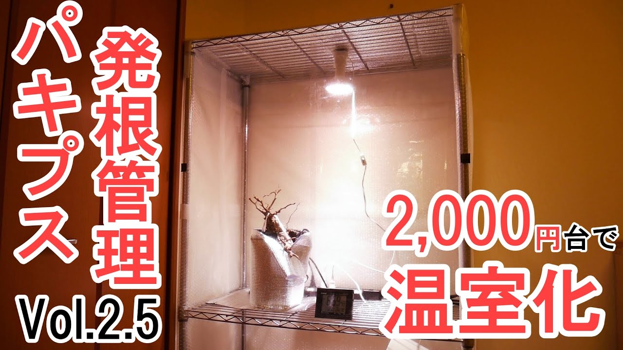 自作温室 00円台でメタルラックを温室にする方法 How To Make A Plant Cabinet 温室 自己动手做 Youtube