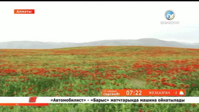 Ұсқынсыз транс бірінші кездескен адамға еш қиындықсыз өзін берді Порно анимацияларды қараңыз