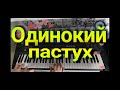 Джеймс Ласт - "Одинокий пастух" (исполнение на синтезаторе)