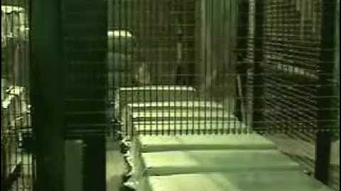 Bale-pak Ltd fully automatic baling machine