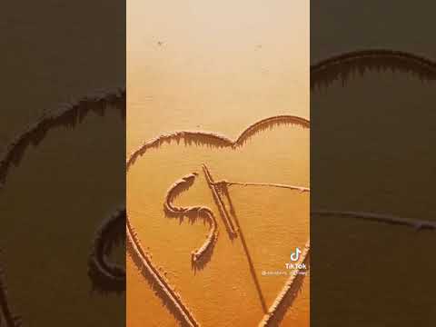 يا بخت شهد ياناس