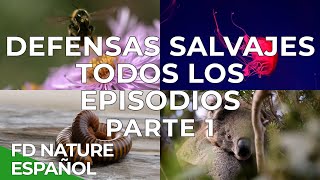 Defensas Salvajes Todos los Episodios Parte 1 | Free Documentary Nature  Español