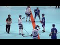 2017 World Ball Hockey Championship - GRE - FIN