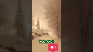 Замистон Наздикай 😍😍 Зима скоро наступит #tiktok #топ #dushanbe #like #top#russia #tajikistan#love