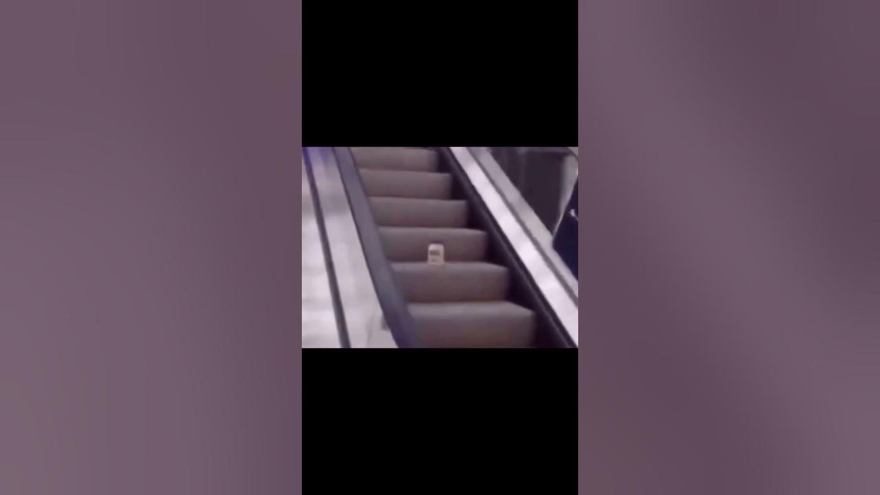 Mayonnaise on an Escalator YouTube