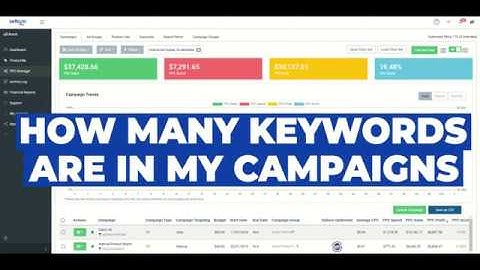 How Many Keywords are in my Campaigns