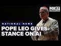 Pope Leo weighs in on how the world should respond to AI