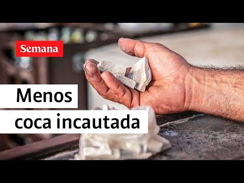 MinDefensa admitió caída en la incautación de cocaína, como lo reveló SEMANA | Semana noticias