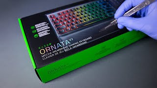 Razer Ornata V2 Keyboard Unboxing - ASMR