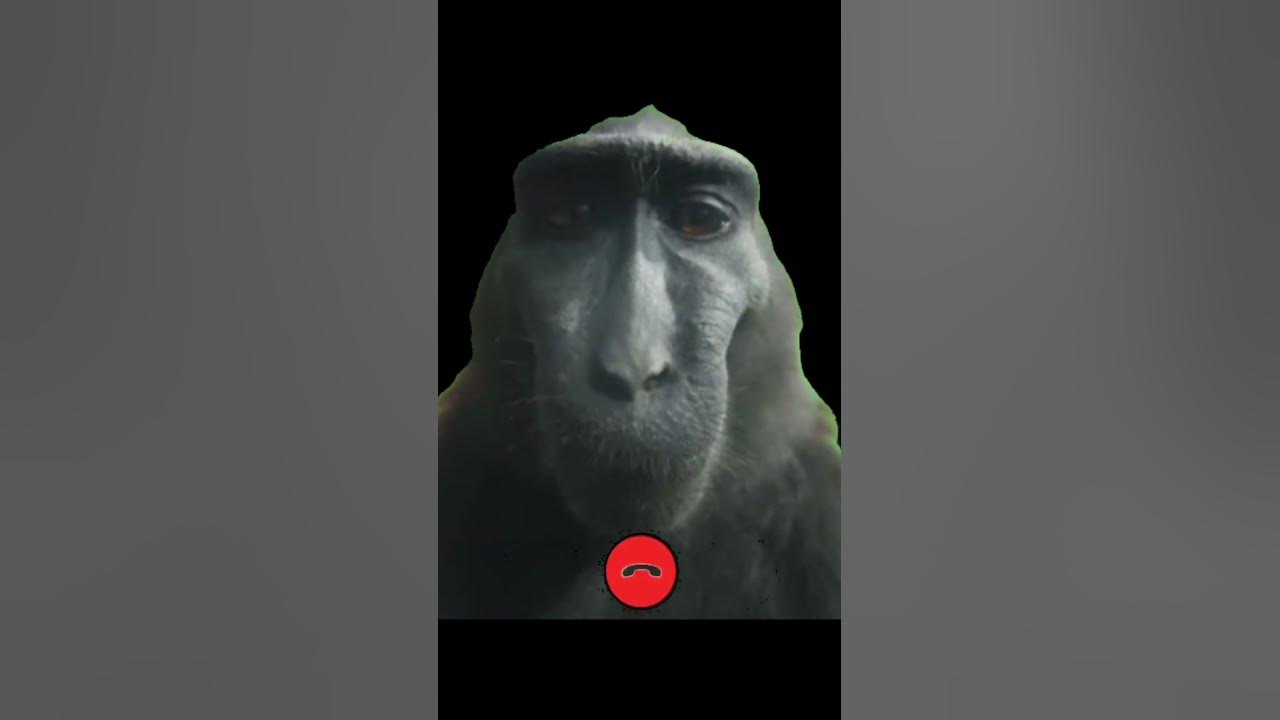 Why Did You Hang Up meme YouTube why-did-you-hang-up-meme-youtube