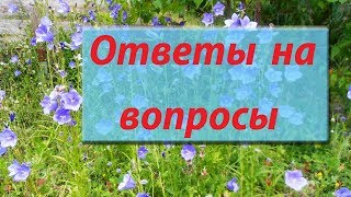 Ответы на часто задаваемые вопросы по пэчворку. Ответы на часто задаваемые вопросы по пэчворку.
