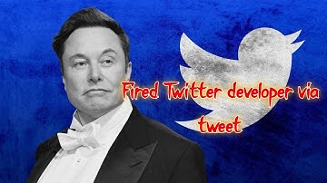 Twitter developer fired by Elon Musk via a tweet #twitter #elonmusk #layoffs #android #developer
