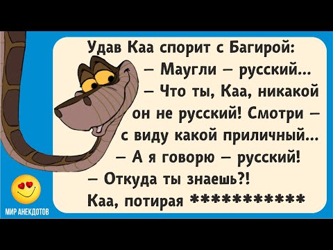 Смешные анекдоты. Про Ивана-Царевича, Хоттабыча, крокодила Гену и Чебурашку, Карлсона и др.