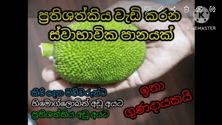 පොලොස් ගැටේකින් ප්‍රතිශත්කිය වැඩි කරන ස්වාභාවික පානයක් හදමුද  food ceylonfoods