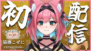猫撫こぜに / Nekonade Kozeniの配信のサムネイル画像