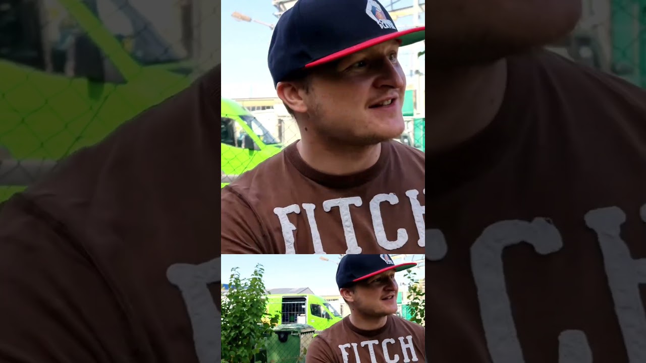 Ein sehr fleißiges Schwein 😄
