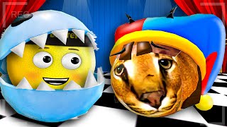 видео: ШЛЕПА СТАЛ ПОМНИ В ЦИФРОВОМ ЦИРКЕ В ROBLOX картинка: ШЛЕПА СТАЛ ПОМНИ В ЦИФРОВОМ ЦИРКЕ В ROBLOX