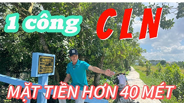 Bán một công đất tại VĨNH LONG, pháp lý ĐẤT TRỒNG CÂY LÂU NĂM, có tách lẻ | NDMT