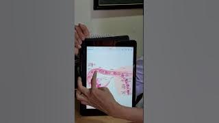 Bagaimana proses fertilisasi terjadi?