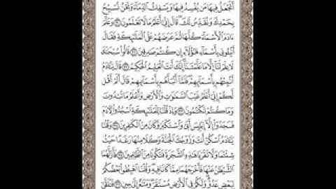 الربع الثانى سورة البقرة القارئ ناصر القطامى