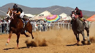 ***Gran Final de Futurity Criollo 2019*** Carreras de Caballos en Ures 23 de Junio 2019