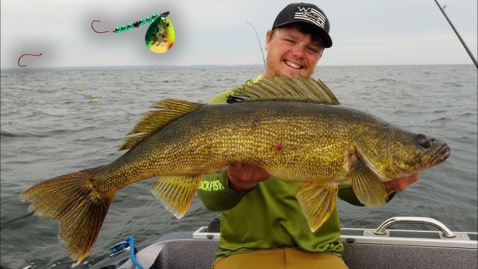 How to Build Your OWN Crawler Harness for Walleye Fishing 