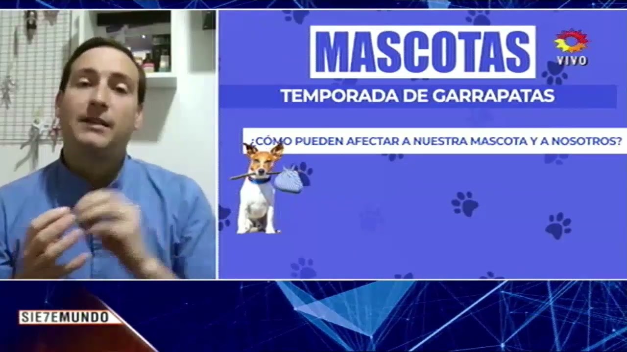 Temporada de garrapatas. Cómo prevenirlas