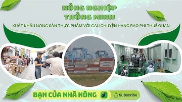 Xuất Khẩu Nông Sản Thực Phẩm Với Câu Chuyện Hàng Rào Phi Thuế Quan