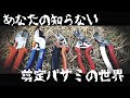 ♯035【検証】【剪定ハサミ】どれがお薦め？何がお薦め？色々使ってみた。【ハサミ選びのバイブル！？】【値段と使用用途の解説】