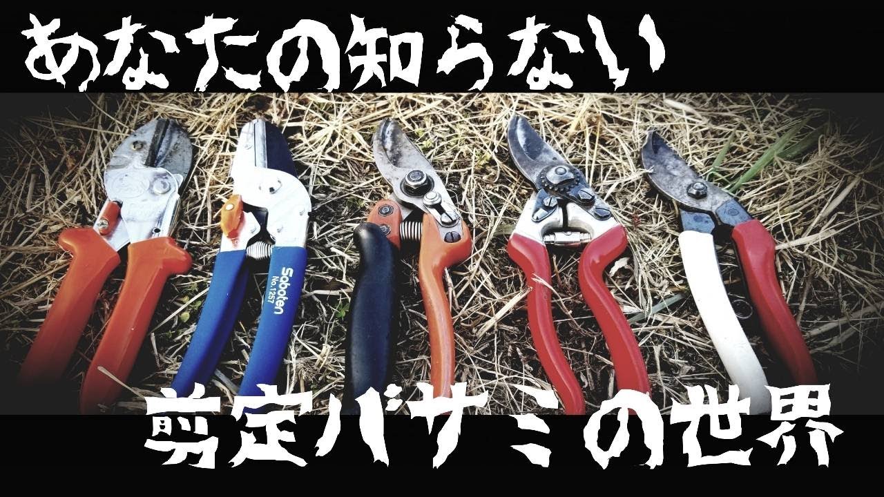 ♯035【検証】【剪定ハサミ】どれがお薦め？何がお薦め？色々使って