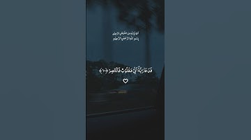 تلاوة خاشعه جميلة بصوت احمد النفيس ارح قلبك #قرآن_كريم #سورة_القمر #احمد_النفيس