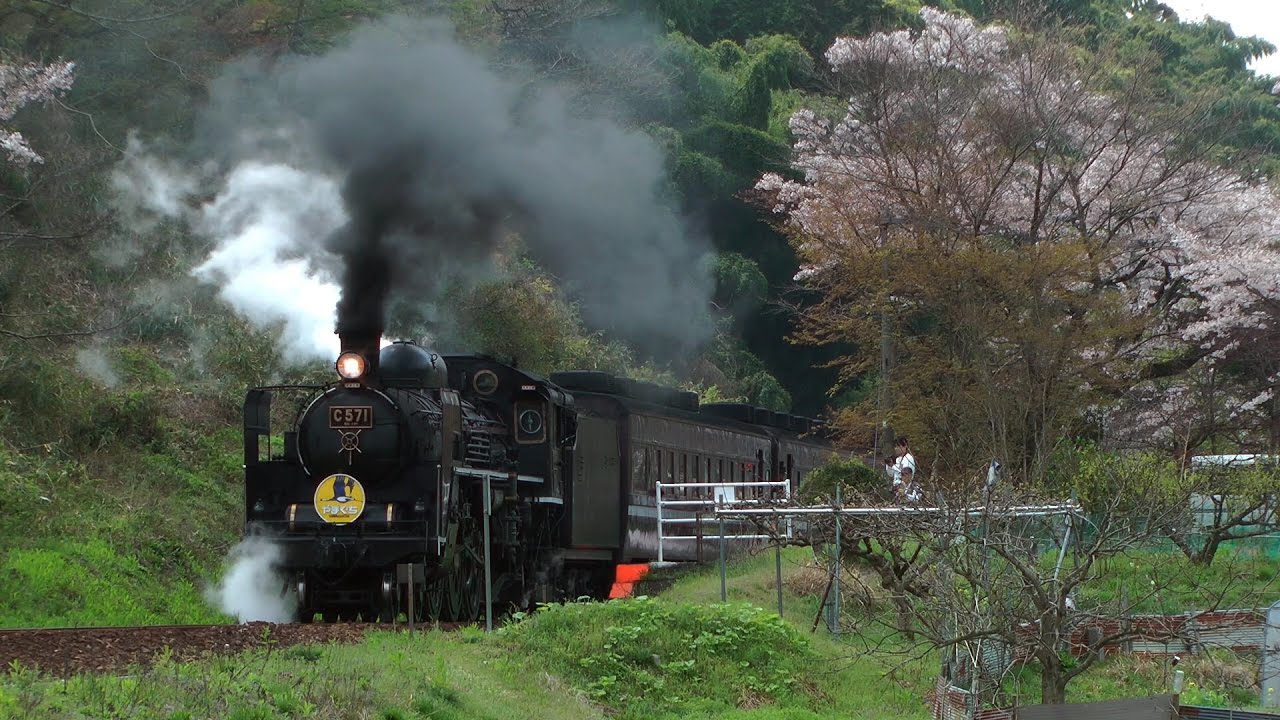 SLやまぐち号(C57) 2017 長門峡駅→渡川駅  - 桜の長門峡駅 -
