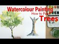 Peinture  laquarelle  comment peindre des arbres