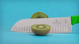 Victorinox Santoku Knife