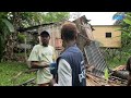 Pai de 38 anos apela por ajuda para reconstruir casa destruída por palmeira em Angra Toldo