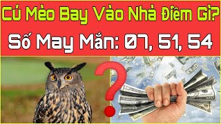 CÚ MÈO Bay VÀO NHÀ ĐIỀM BÁO Gì? Cú Mèo Đậu Gần Nhà Điềm Gì? Cú Mèo Bay Vào Nhà Số May Mắn.