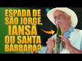 ESPADA DE SÃO JORGE, ESPADA DE IANSÃ OU ESPADA DE SANTA BÁRBARA: TODAS AS DÚVIDAS RESPONDIDAS